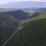 Esche * Hinterzarten
