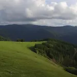 Esche Hinterzarten