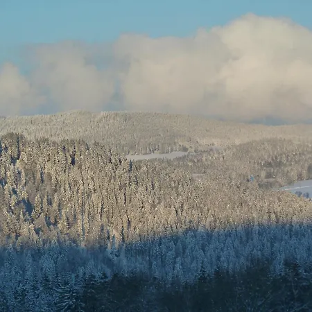 Esche * Hinterzarten