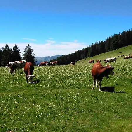 Daire Esche Hinterzarten