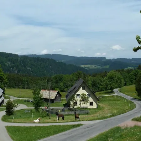 Apartment Esche Hinterzarten
