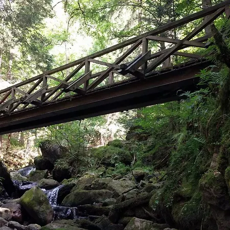 Esche * Hinterzarten