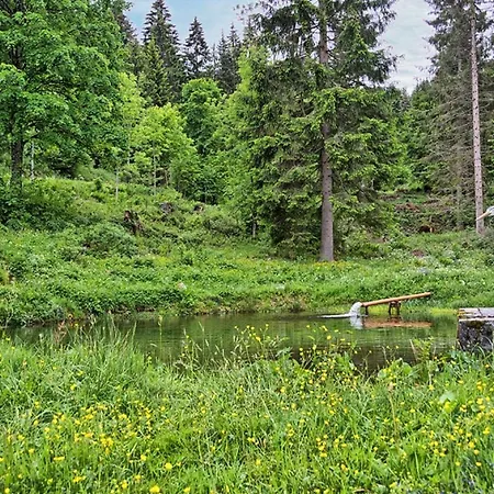 Esche Apartmán Hinterzarten