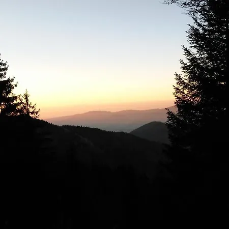 Esche Hinterzarten