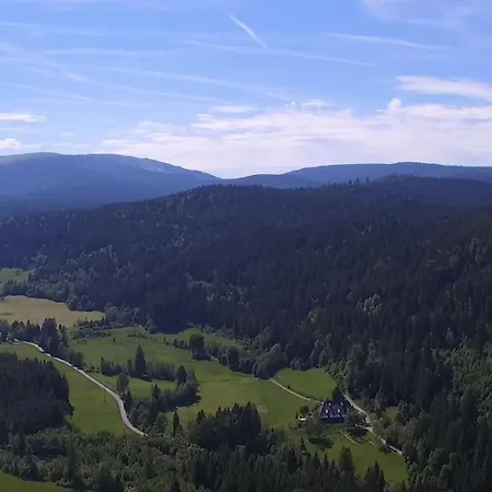 Esche Appartement Hinterzarten