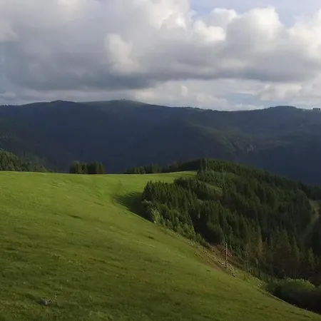 Esche Hinterzarten