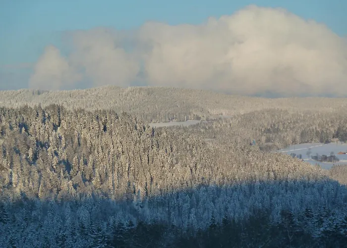 Esche * Hinterzarten
