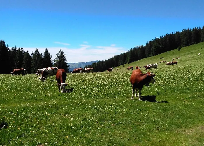 Apartman Esche Hinterzarten