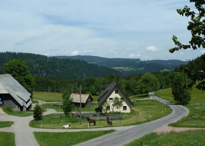 Apartman Esche Hinterzarten